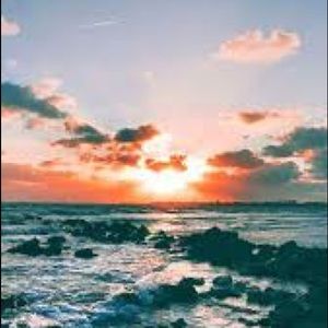 Meet your Posher, Sav